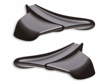 Carbon Winglets Pani V4 2020/21